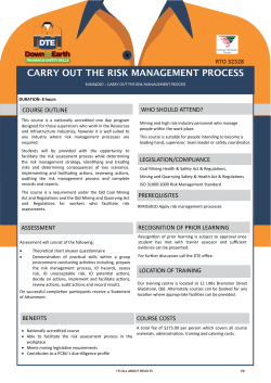 carry out the risk management process