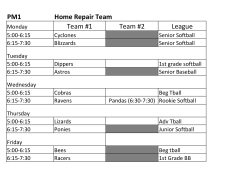 PM1 Home Repair Team Team #1 Team #2 League