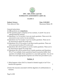 Section B - DPS-MIS