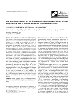 The Membrane-Bound NADH:Ubiquinone Oxidoreductase in the