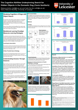 The Cognitive Abilities Underpinning Search for Hidden Objects in