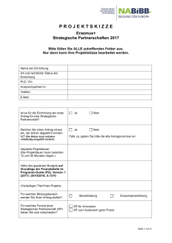 PROJEKTSKIZZE Erasmus+ Strategische