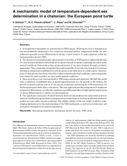 A mechanistic model of temperature-dependent sex determination in