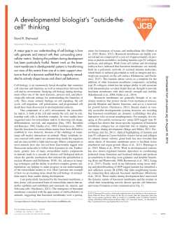 A developmental biologist`s &ldquo;outside-the- cell&rdquo; thinking