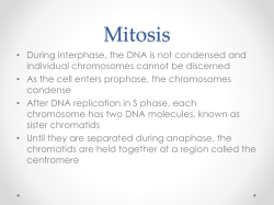 Mitosis - Northwest ISD Moodle