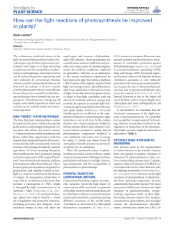 How can the light reactions of photosynthesis be