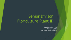 Senior Plant ID