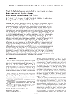 Control of phytoplankton growth by iron supply and irradiance in the