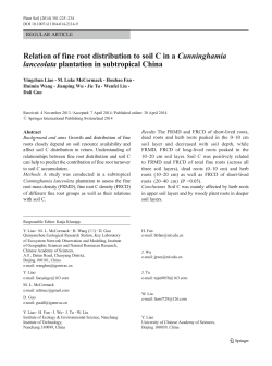 Relation of fine root distribution to soil C in a Cunninghamia