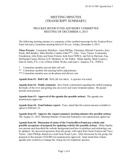 MEETING MINUTES (TRANSCRIPT SUMMARY)