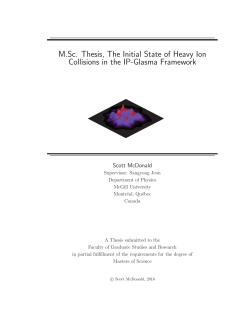 M.Sc. Thesis, The Initial State of Heavy Ion Collisions in the IP