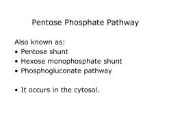 Lecture # 7 Pentose Phosphate Pathway