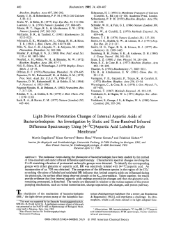 Light-Driven Protonation Changes of Internal