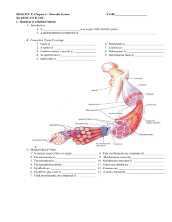 Shier, Butler, and Lewis: Hole`s Human Anatomy and
