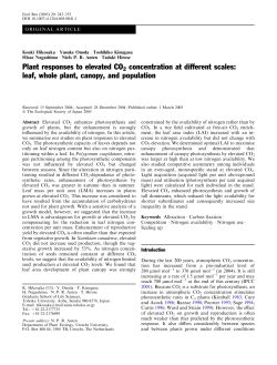 Plant responses to elevated CO2 concentration at different scales