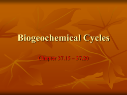 Biosphere and Matter Cycles cont..