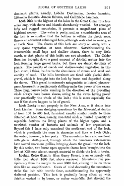 FLORA OF SCOTTISH LAKES 201 dominant plants, namely, Lobelia