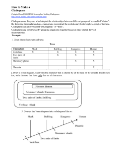 How to Make a Cladogram (Adapted from ENSI/SENSI lesson plan