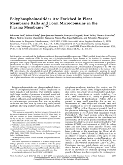 Polyphosphoinositides Are Enriched in Plant