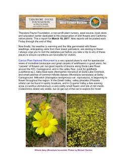 Theodore Payne Foundation, a non-profit plant nursery, seed source