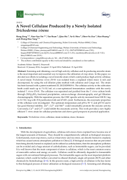 A Novel Cellulase Produced by a Newly Isolated