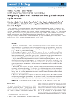 Integrating plant&ndash;soil interactions into global carbon cycle models