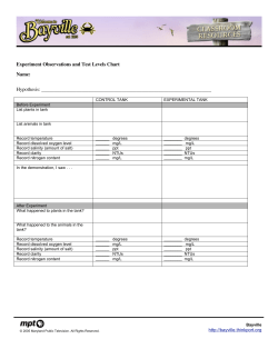 Experiment Observations and Test Levels Chart Name: Hypothesis