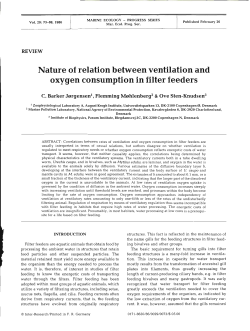 Nature of relation between ventilation and oxygen consumption in