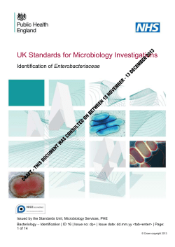 Title of SMI goes here