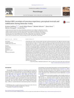 Distinct MEG correlates of conscious experience