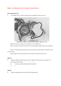 Blood and the Circulatory System