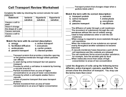 Cell Transport Review Worksheet