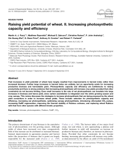 Raising yield potential of wheat. II. Increasing photosynthetic