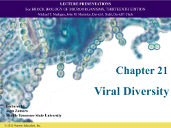 Figure 21.13b Poliovirus genome VPg Poly(A)