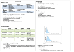 Insulin Therapy Actions of insulin Liver cells Fat cells Muscle cells