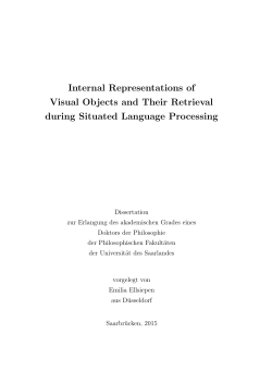Internal Representations of Visual Objects and Their