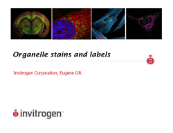 Organelle stains and labels - MeetingBridge Event Management