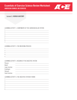 Essentials of Exercise Science Review Worksheet
