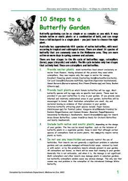 10 Steps to a Butterfly Garden