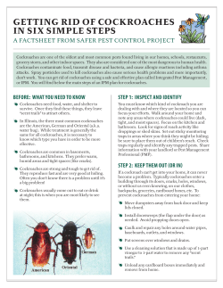 GettinG Rid of CoCkRoaChes in six simple steps