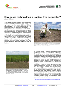 How much carbon does a tropical tree sequester?