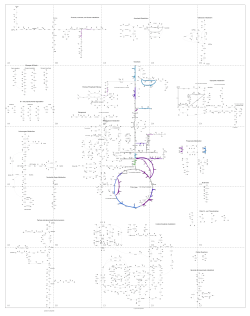 A1 A2 A3 A4 A5 B1 B2 B3 B4 B5 C1 C2 C3 C4 C5