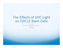 The Effects of UVC Light on C2C12 Stem Cells