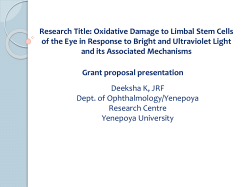 Oxidative Damage to Limbal Stem Cells of the Eye in