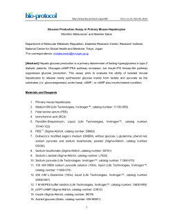 1 Glucose Production Assay in Primary Mouse - Bio