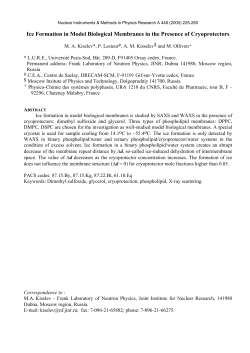 Freesing and melting water in DPPC/DMSO/water