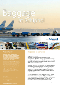 Baggage at Schiphol 0.3 MB