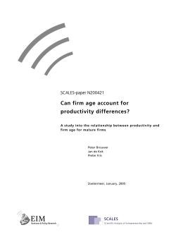 Can firm age account for productivity differences?