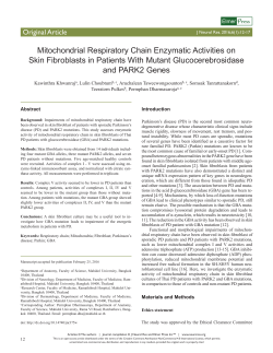 Mitochondrial Respiratory Chain Enzymatic Activities on Skin