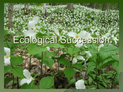 Ecological Succession